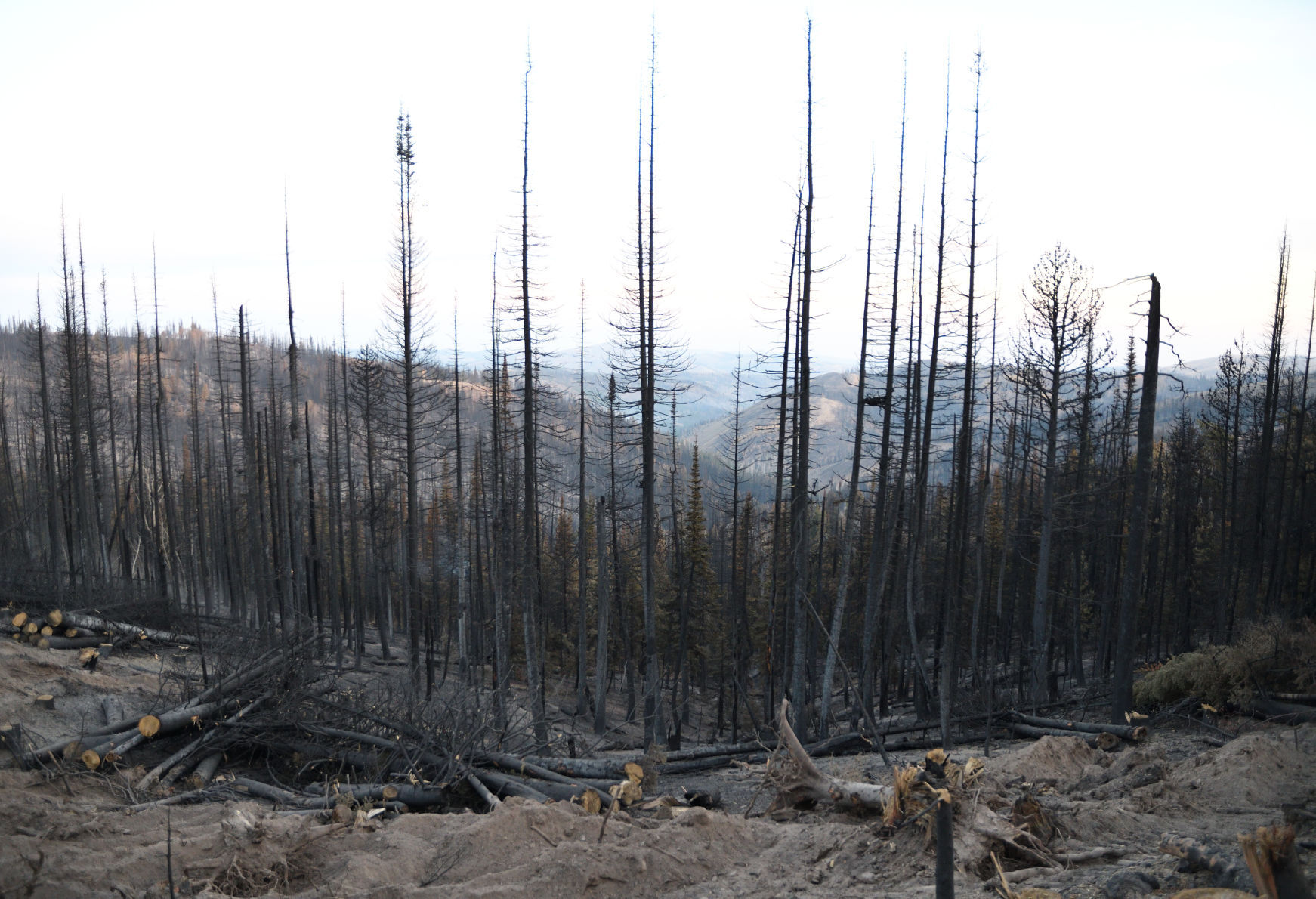 The Badger Fire